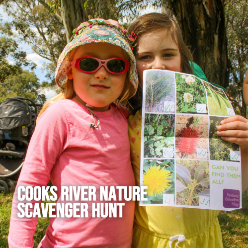 cooks river nature scavenger hunt